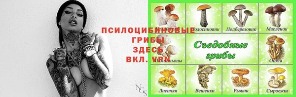 дживик Красноперекопск