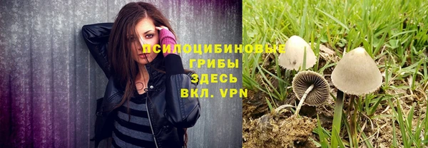 кристаллы Краснослободск