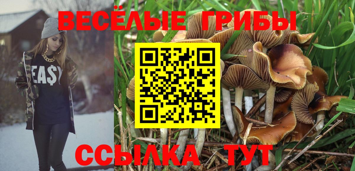 Псилоцибиновые грибы Magic Shrooms  Вход с VPN  продажа наркотиков  Невинномысск 